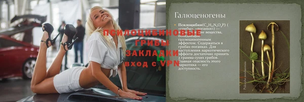 мяу мяу мука Лабытнанги
