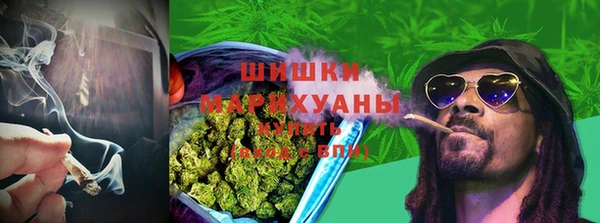 мяу мяу мука Лабытнанги