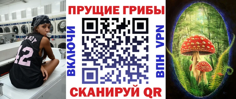 Купить где  Клин  Галлюциногенные грибы Psilocybine cubensis 