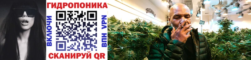 Бошки Шишки Amnesia  Купить закладки  Клин 